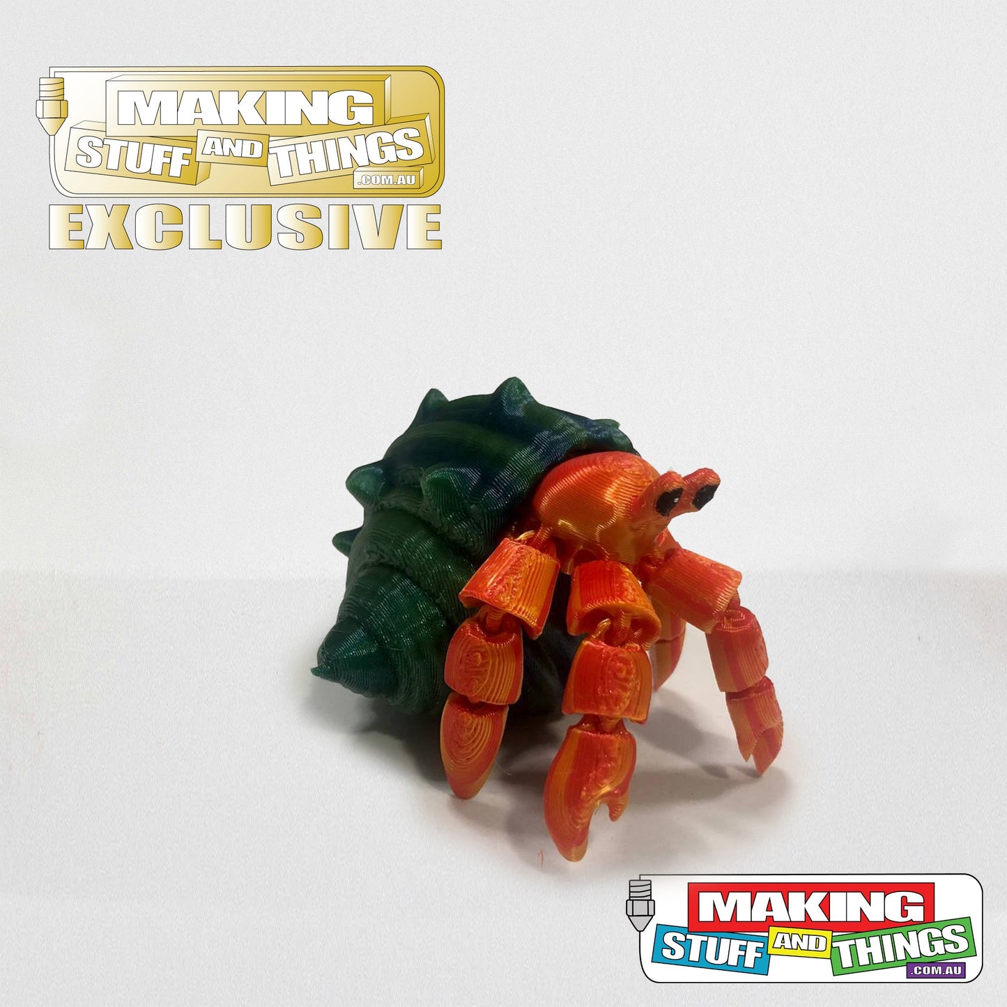 Little Hermit Crab